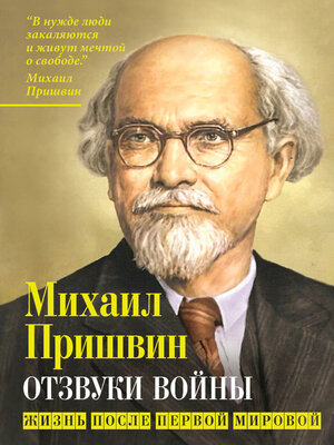 cover image of Отзвуки войны. Жизнь после Первой мировой